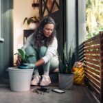 TCL 65 Zoll QLED P71K 4K Fernseher (2025) in einem modernen Wohnzimmer als zentrales Heimkino-Gerät unter 1000 Euro.